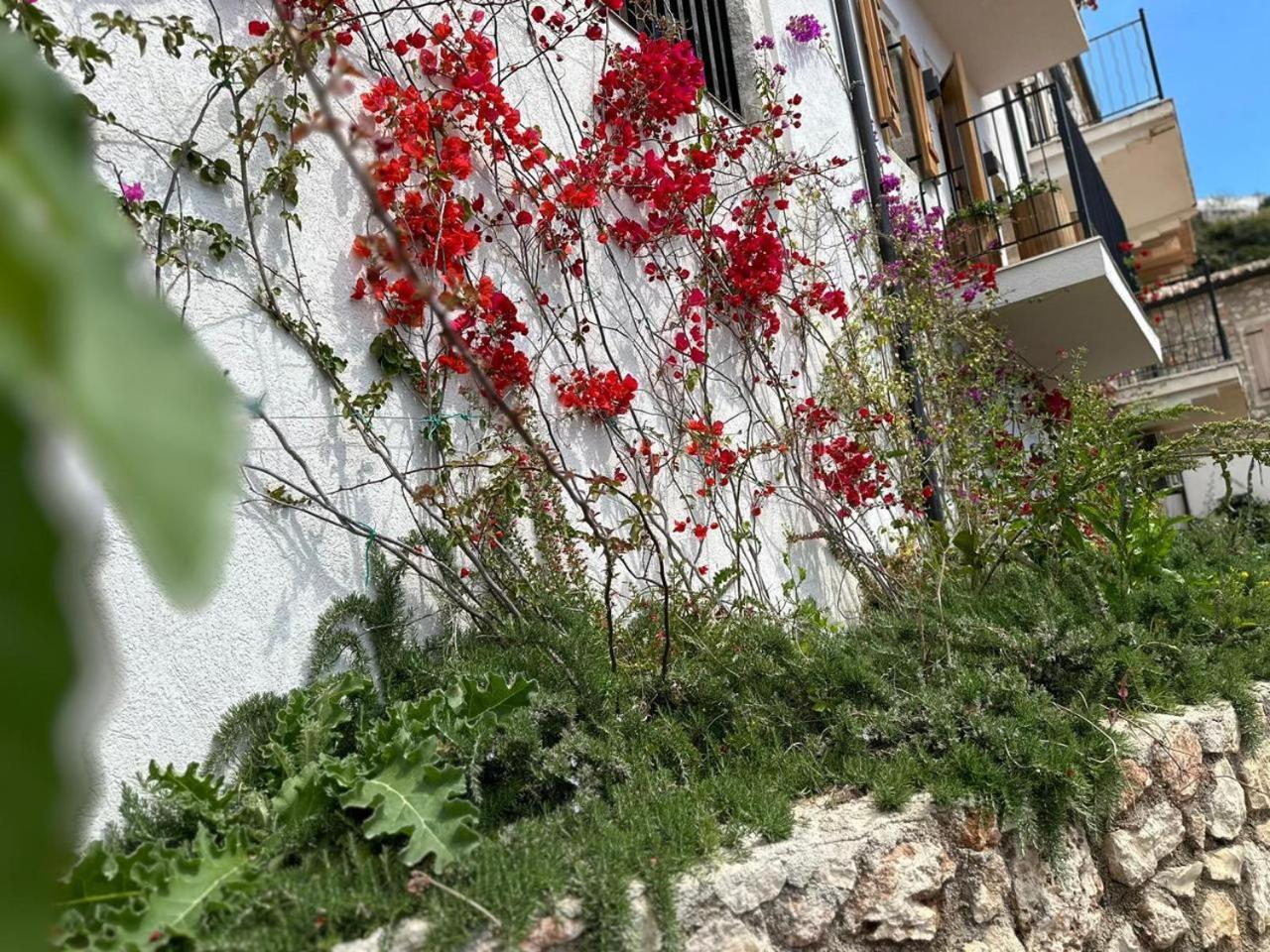 Lion'S Villa Vlorë Esterno foto